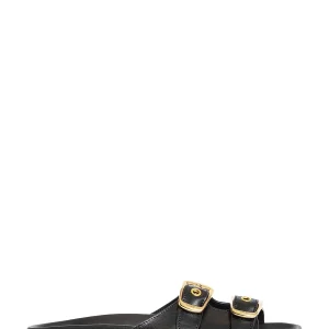Polly slides